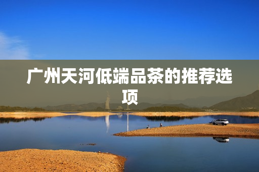 广州天河低端品茶的推荐选项