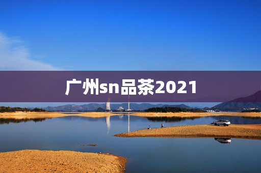 广州sn品茶2021